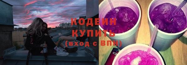 шишки Горно-Алтайск