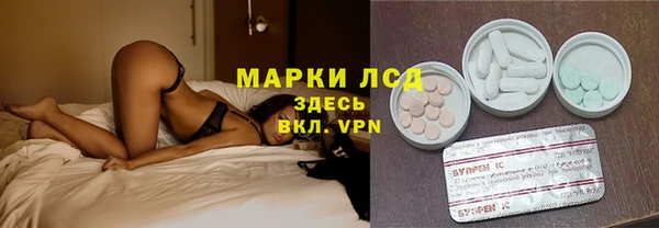 шишки Горно-Алтайск