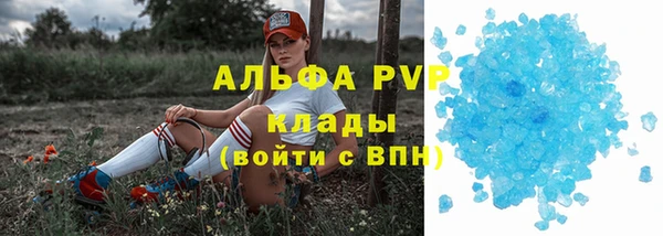 шишки Горно-Алтайск