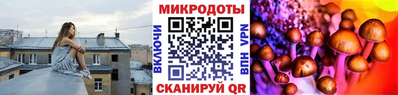 kraken вход  Железноводск  Галлюциногенные грибы мицелий 